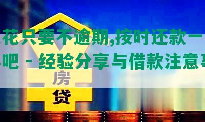 安逸花只要不逾期,按时还款一般就没事吧 - 经验分享与借款注意事项