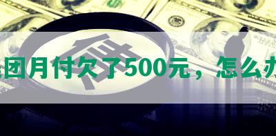 美团月付欠了500元，怎么办？