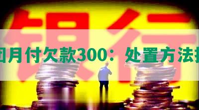 美团月付欠款300：处置方法指南