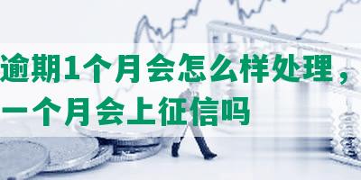 美团逾期1个月会怎么样处理，美团逾期一个月会上征信吗