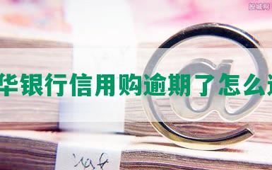 花呗华银行信用购逾期了怎么还款？