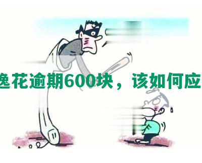 安逸花逾期600块，该如何应对？