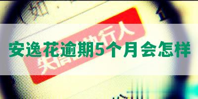 安逸花逾期5个月会怎样