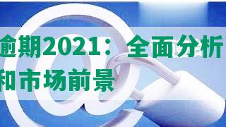 美团逾期2021：全面分析营收、发展和市场前景