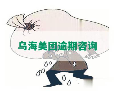 乌海美团逾期咨询