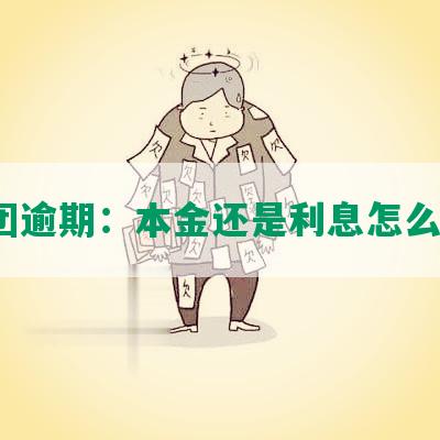 美团逾期：本金还是利息怎么看？