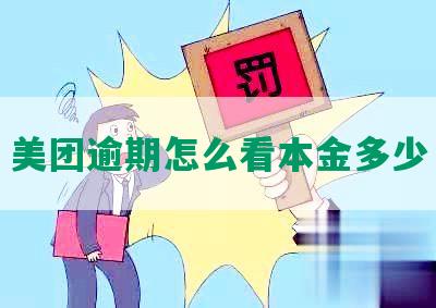 美团逾期怎么看本金多少