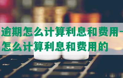 美团逾期怎么计算利息和费用-美团逾期怎么计算利息和费用的