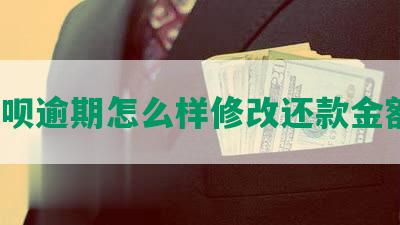 省呗逾期怎么样修改还款金额？