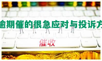 美团逾期催的很急应对与投诉方法解析