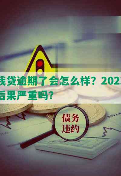 你我贷逾期了会怎么样？2023逾期后果严重吗？