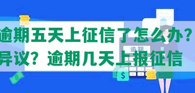 美团逾期五天上征信了怎么办？如何提出异议？逾期几天上报征信