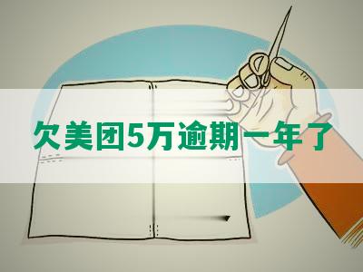 欠美团5万逾期一年了