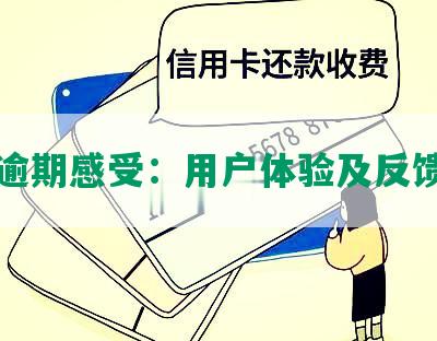 美团逾期感受：用户体验及反馈分析