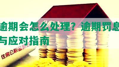 美团逾期会怎么处理？逾期罚息减免方法与应对指南