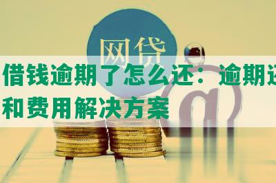 美团借钱逾期了怎么还：逾期还款、本金和费用解决方案