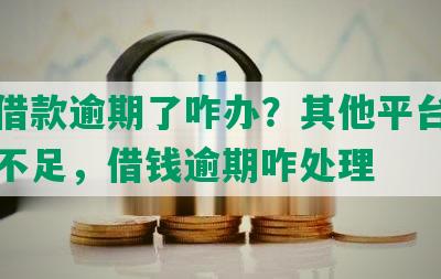 美团借款逾期了咋办？其他平台显示评分不足，借钱逾期咋处理