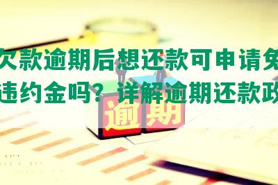 美团欠款逾期后想还款可申请免除罚金和违约金吗？详解逾期还款政策与规定