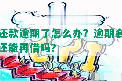 美团还款逾期了怎么办？逾期会上征信、还能再借吗？