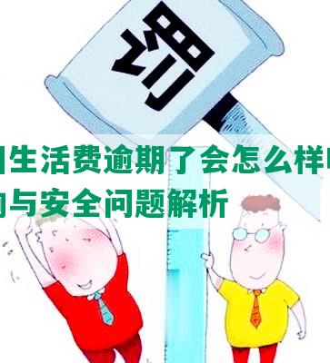 借美团生活费逾期了会怎么样吗：征信影响与安全问题解析