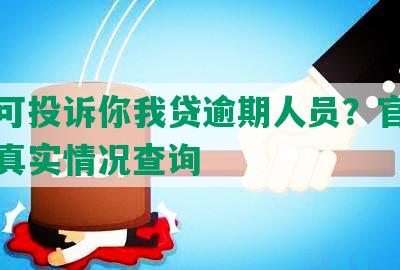 哪里可投诉你我贷逾期人员？官方渠道及真实情况查询