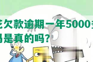 安逸花欠款逾期一年5000多会被起诉吗是真的吗？