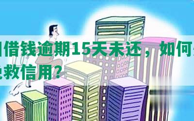 美团借钱逾期15天未还，如何处理及挽救信用？