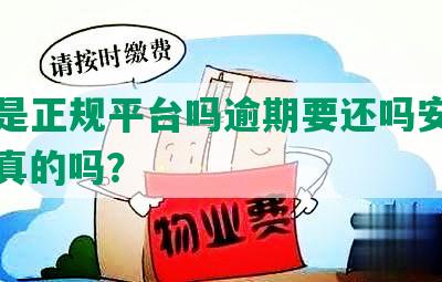 还呗是正规平台吗逾期要还吗安全吗：是真的吗？