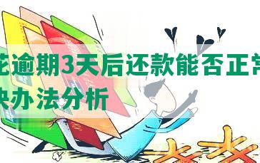 安逸花逾期3天后还款能否正常借款？解决办法分析