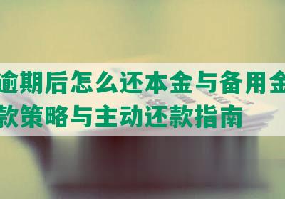 借呗逾期后怎么还本金与备用金：逾期还款策略与主动还款指南