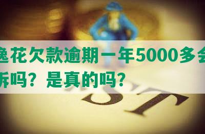 安逸花欠款逾期一年5000多会被起诉吗？是真的吗？