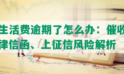 美团生活费逾期了怎么办：催收上门、法律信函、上征信风险解析