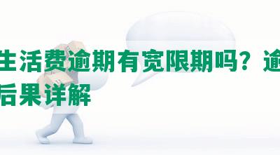 美团生活费逾期有宽限期吗？逾期处理及后果详解