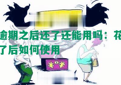 花呗逾期之后还了还能用吗：花呗逾期还了后如何使用