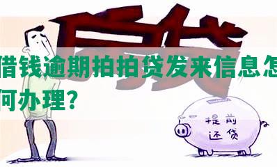 同程借钱逾期拍拍贷发来信息怎么办：如何办理？