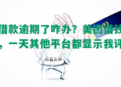 美团借款逾期了咋办？美团借钱逾期咋办，一天其他平台都显示我评分不足