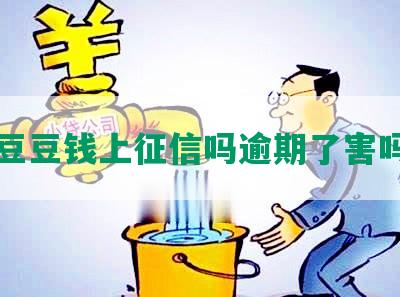 豆豆钱上征信吗逾期了害吗