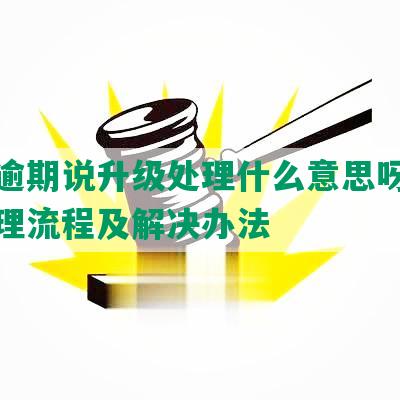 美团逾期说升级处理什么意思呀：解析处理流程及解决办法