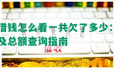 美团借钱怎么看一共欠了多少：剩余未还及总额查询指南