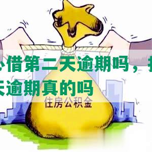 抖音放心借第二天逾期吗，抖音放心借第二天逾期真的吗