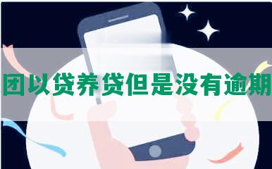 美团以贷养贷但是没有逾期过