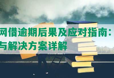 美团网借逾期后果及应对指南：安全问题与解决方案详解