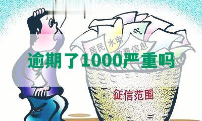 逾期了1000严重吗