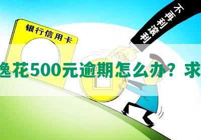 安逸花500元逾期怎么办？求解！