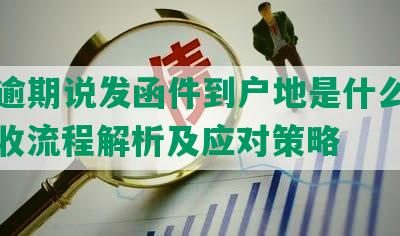 美团逾期说发函件到户地是什么意思，催收流程解析及应对策略