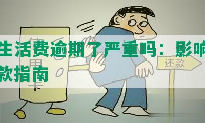 美团生活费逾期了严重吗：影响征信、还款指南