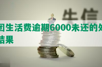 美团生活费逾期6000未还的处罚与结果