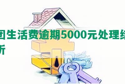 美团生活费逾期5000元处理结果解析