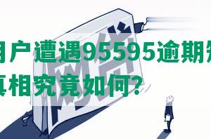 美团用户遭遇95595逾期短信提醒，真相究竟如何？