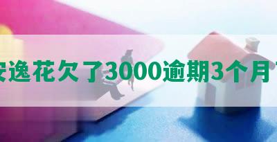 安逸花欠了3000逾期3个月了